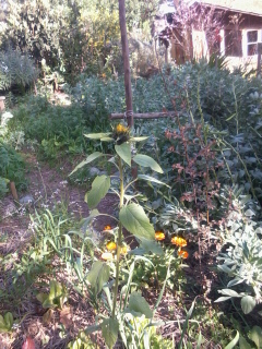 huerta de Septiembre