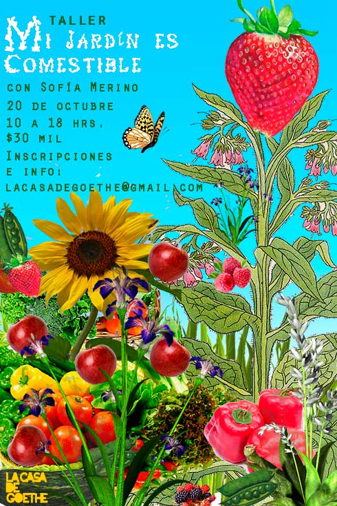 mi-jardin-comestible