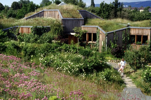 casa de Minke; Es una verdadera casita Hobbit