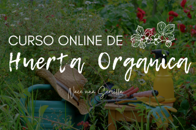 img-curso-huerta